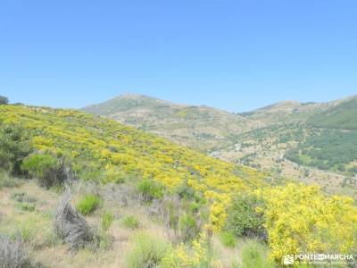 Cerro de la Cabeza y Puerto de la Cruz Verde; rutas andando por madrid paseos sierra madrid caminata